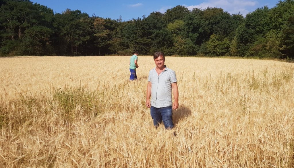 foto akker graangeluk