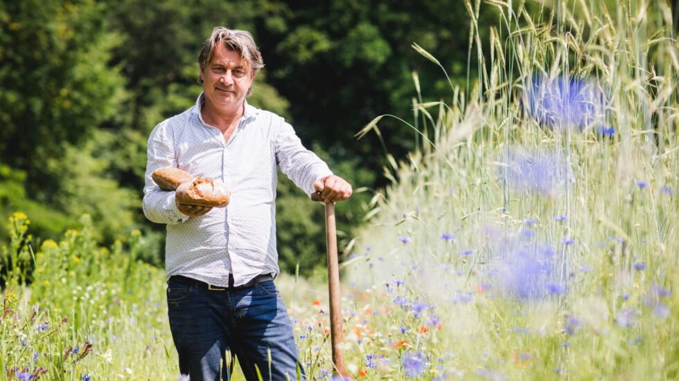 graandelen 3 980x551